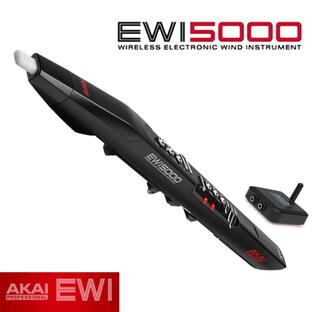 AKAI / EWI-5000J アカイ ウィンドシンセ EWI5000J (新品)(正規品)の画像