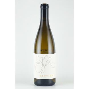 ワイン 白ワイン カリフォルニアワイン モンダヴィ センティアム ソーヴィニヨンブラン メンドシーノ[コンティニュアム][2022] wineの画像