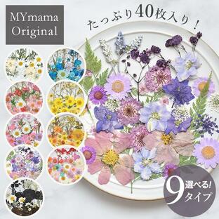 押し花 セット 40枚 レジン封入 全9種 ■ ドライフラワー レジン液 ネイル パーツ myr MIX ミックス 封入 パーツ 花材 ブリザード フラワー 天然素材 ■の画像