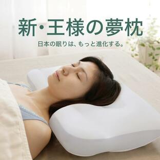ビーチ 王様の夢枕2 専用カバー付の画像