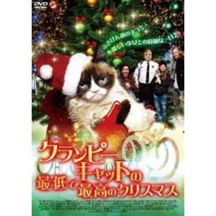 グランピーキャットの最低で最高のクリスマス [DVD]の画像