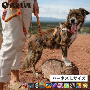WOLFGANG MAN & BEAST ウルフギャング WOLFGANG ハーネス 犬 大型犬用 Lサイズ HARNESS マン ビースト MAN BEASTの画像