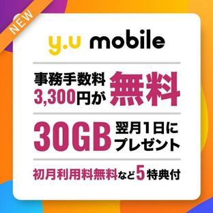 格安SIM y.u mobile エントリーパッケージ 豪華特典付き 30GB 初月無料 事務手数料無料 MVNO docomo回線 高速 通信 音声通話 データ専用 SIMカードの画像