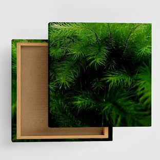 植物 自然 アートパネル 15cm × 15cm Sサイズ 日本製 ポスター おしゃれ インテリア 模様替え リビング 内装 グリーン 雫 風景 ファブリックパネル rsb-0009-Sの画像