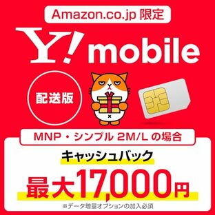 Y!mobile(ワイモバイル) 事務手数料3,850円が無料になるSIM配送版 5G対応 格安SIM ZGQA10の画像