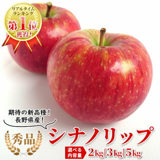 リアルタイムランキング1位獲得！ 秀品 シナノリップ 選べる内容量 約2kg 約3kg 約5kg りんご リンゴ 林檎 長野県産 豊丘村 新品種 産地直送 夏りんご フルーツ 果物 旬の果物 お中元 残暑見舞い 敬老の日 ：c104の画像