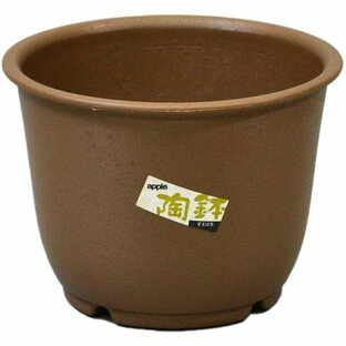 陶鉢 輪型7号 きん茶 アップルウェアー 植木鉢 プランター 洋蘭 胡蝶蘭 観葉植物の画像