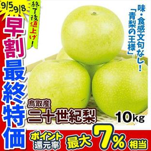 梨 10kg 二十世紀梨 鳥取産 ご家庭用 二十世紀 和梨 ブランド梨 鳥取 送料無料 食品の画像