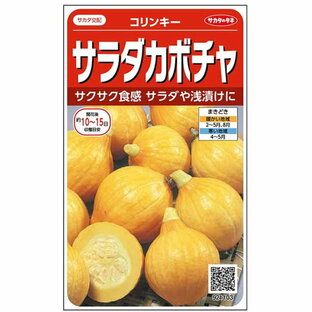 サカタ 002879 サラダカボチャ コリンキー かぼちゃ 約10粒／袋 種子の画像