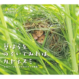 草はらをのぞいてみればカヤネズミ: 日本でいちばん小さなネズミの物語 (小学館の図鑑NEOの科学絵本)の画像