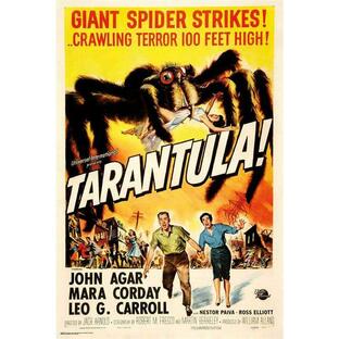 世紀の怪物 タランチュラの襲撃 映画ポスター 軽量アルミ製フィットフレーム付 91.5×61cmの画像