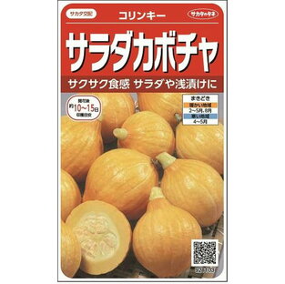 かぼちゃコリンキー約10粒（株）サカタのタネ 実咲400の画像