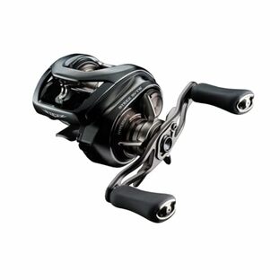 ダイワ(DAIWA) バスベイトリール 24STEEZ(スティーズ) SV TW 100HL (2024年モデル)の画像