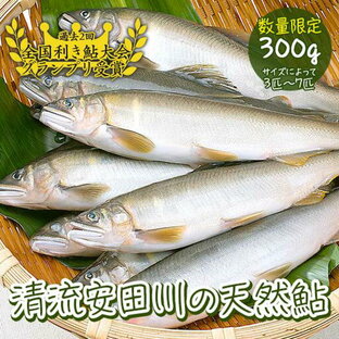 【ふるさと納税】清流安田川の天然鮎（冷凍） 川魚 魚介 あゆ お取り寄せグルメ 塩焼き 甘露煮 鮎めし 【481】の画像