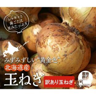 訳あり玉ねぎ 10kg【産地直送/送料込/9月末以降発送/配達日指定不可 ※予約の順番で発送しています】 訳あり 北海道産 自宅用 業務用の画像