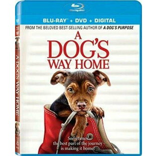 【輸入盤】Sony Pictures A Dog's Way Home [New Blu-ray] With DVD 2 Pack Digital Copyの画像