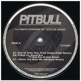 【レコード】PITBULL - City Of Gods / Pearly Gates (Ultimate Remixes) EP JAPAN 2010年リリースの画像