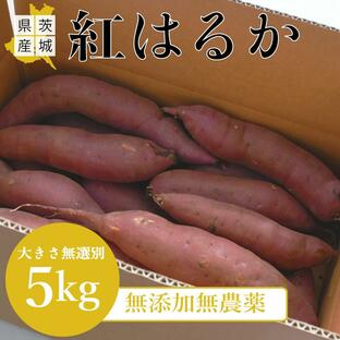 さつまいも 茨城県産 無農薬 紅はるか L〜SS サイズ混合の画像