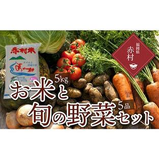 ふるさと納税 福岡県 赤村 赤村産「夢つくし」５ｋｇと厳選の旬の野菜セット（野菜５品） E6の画像