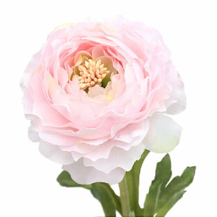 造花 シルクフラワー ラナンキュラス ライトピンク asca アスカ商会 A-31841-013の画像