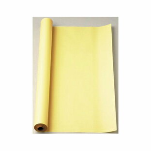 マルアイ マス目模造紙 模造紙 B紙 自由研究 紙 図表 ポスター 30m ロールタイプ（クリーム）の画像