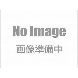 NOC ボンド 15kg／セット ヤシマ理化耐蝕株式会社の画像