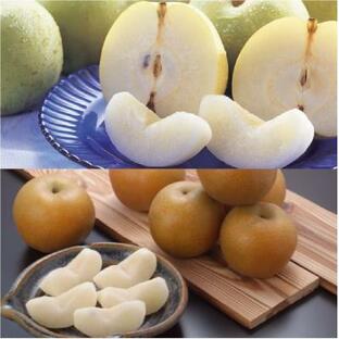 ふるさと納税 米子市 鳥取の梨食べくらべ1.8kg(新甘泉・二十世紀) 冷蔵便の画像