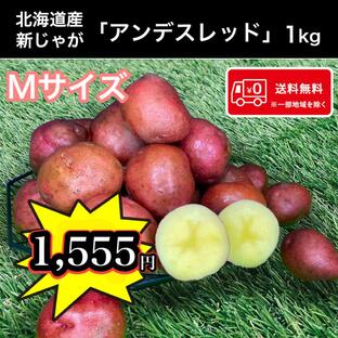 ≪週末限定セール!!≫希少じゃがいも1kgお試し販売 北海道産 アンデスレッド Mサイズ 1kg 送料無料 じゃがいも 馬鈴薯の画像
