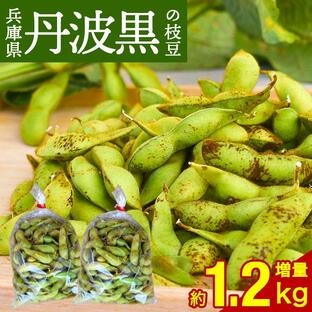 2024年度産 丹波黒の枝豆 1.2kg袋入り（600g×2）送料無料 超破格 もっちり旨い 秋の味覚 黒枝豆 枝豆 えだまめ 黒豆 丹波黒 篠山 丹波 ささやま たんばの画像