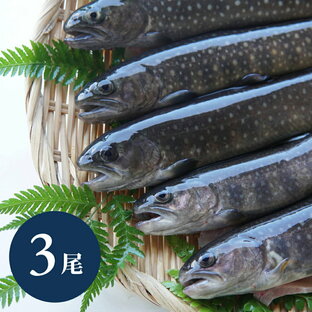 イワナ 岩魚 冷凍 川魚 養殖 3尾~20尾 骨酒 塩焼き 串焼き 海鮮 bbq 食材 魚 焼き魚 魚介類 珍しい 大人の画像