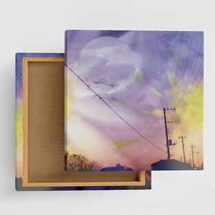 花 風景 アートパネル 15cm × 15cm Sサイズ 日本製 ポスター おしゃれ インテリア 模様替え リビング 内装 自然 空 夕焼け ファブリックパネル tnk-0002-Sの画像