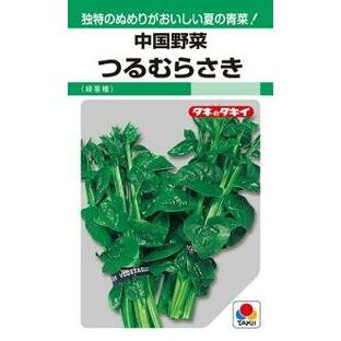 タキイ種苗 中国野菜 つるむらさき（緑茎種）MFの画像