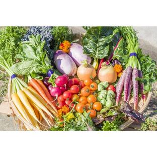 フレッシュグループ淡路島の香るハーブと彩り野菜セット 季節の１２〜１４種の厳選こだわり詰合わせの画像