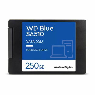 WESTERN DIGITAL WD Blue SA510 SATA WDS3B0Aの画像