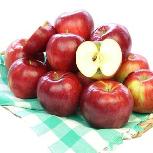 減農薬 長野 生食用 紅玉 りんご B品 約4kg小玉12~25個入 リンゴ 林檎 産地直送 小山 SSS 9gの画像