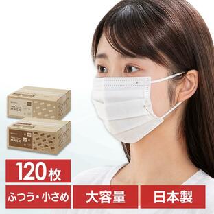 マスク 不織布 120枚入り 日本製 不織布マスク アイリスオーヤマ 小さめ 小さめサイズ プリーツマスク ふつう ふつうサイズ 花粉対策 PN-NC120の画像