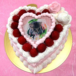 写真ケーキ スイートハート ケーキ バースデーケーキ お誕生日 パーティー 記念日 サプライズ 5号の画像