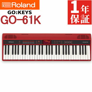 Roland ローランド GO-61K Entry Keyboard Roland ループ・ミックス機能 簡単操作 多彩な音色 録音機能付き ヘッドホン対応 タッチレスポンス USB接続可 ワンタッチ設定 自動伴奏機能 メトロノーム内蔵 MIDI対応 レイヤー機能 スピーカー内蔵（ラッピング不可）の画像
