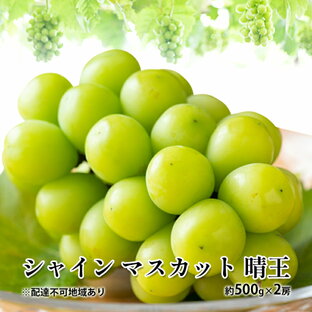 【ふるさと納税】ぶどう 2024年 先行予約 シャイン マスカット 晴王 約500g×2房 種無し ブドウ 葡萄 岡山県産 国産 フルーツ 果物 ギフト  デザート 果実 美しい 大粒 高糖度 皮ごと パリッ 弾力 食感 食べやすい 人気  お届け：2024年8月下旬～2024年11月下旬の画像