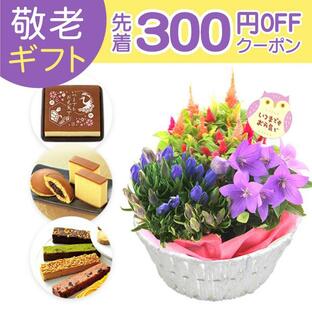 敬老の日 プレゼント ギフト 花 お菓子 定番 リンドウ 鉢植え 和菓子 洋菓子 スイーツ おかし 食べ物 敬老の日プレゼント 敬老の日ギフト 60代 70代 80代 祖母の画像