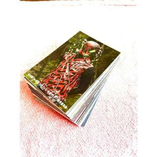 シン・仮面ライダーカード全48枚コンプリートセットの画像