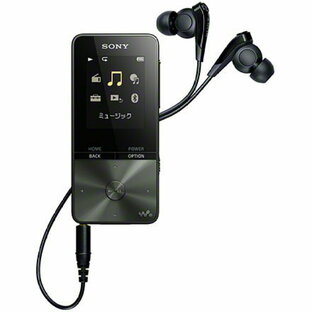 Sony デジタルミュージックプレーヤー NW-S315の画像
