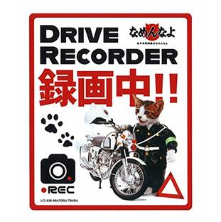 ゼネラルステッカー なめ猫 DRIVE RECORDER 録画中 ステッカー 白バイ 1枚入り LCS-838の画像