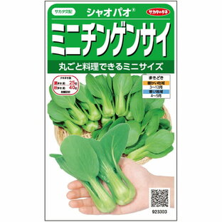 【サカタのタネ公式】 ミニチンゲンサイ シャオパオ 野菜 種 約410粒 小袋 春まき 秋まきサカタ交配 簡単 初心者向き 育てやすい プランター 鉢 家庭菜園 ベランダ栽培 収穫園芸 青梗菜 ちんげんさい チンゲン菜 種子 タネ たねの画像