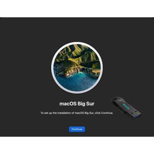 32GB ブート可能 USBドライブ 3.2 Gen MacOS Big Sur 11.7 (20G817) フルインストール/ア 並行輸入品の画像