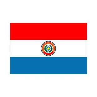 パラグアイ国旗90×135cmの画像
