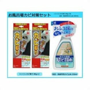 日本ミラコン産業 お風呂場カビ対策セット (シリコンカビ取り80g×2&浴室・洗面所用カビ止め250ml)の画像