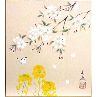 中谷文魚 「 桜に菜の花 」 色紙絵    絵画 日本画 春の色紙 春の花 さくら サクラ ピンク 黄色い花 モンシロチョウ 蝶々の画像