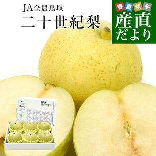 鳥取県産 JA全農鳥取 二十世紀梨 約2キロ（5玉から6玉入り）大玉 送料無料 なし ナシ 青梨 和梨の画像