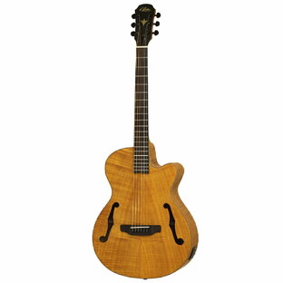 Aria FET-F2 -STBR(Stained Brown)-新品 [アリア][Fホール][ナチュラル][Acoustic Guitar,アコギ,アコースティックギター,エレアコ,Folk Guitar,フォークギター]の画像